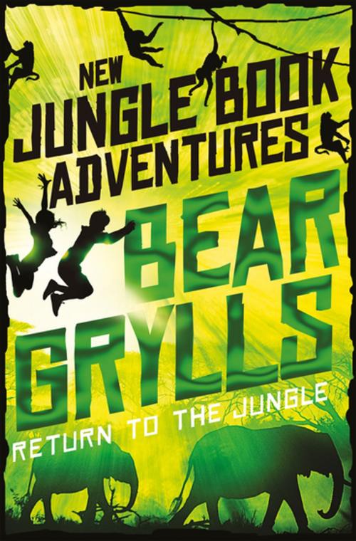 Cover of the book Return to the Jungle by Bear Grylls, Pan Macmillan