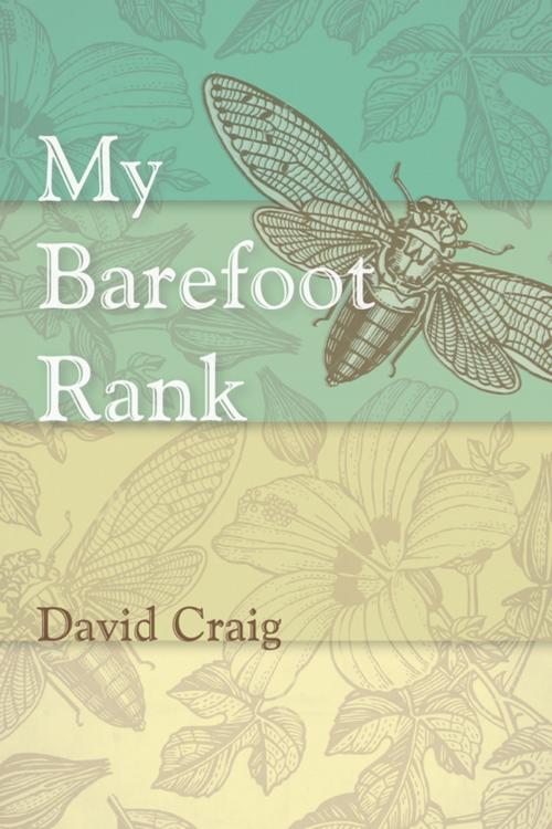 Cover of the book My Barefoot Rank by David Craig, Wipf and Stock Publishers