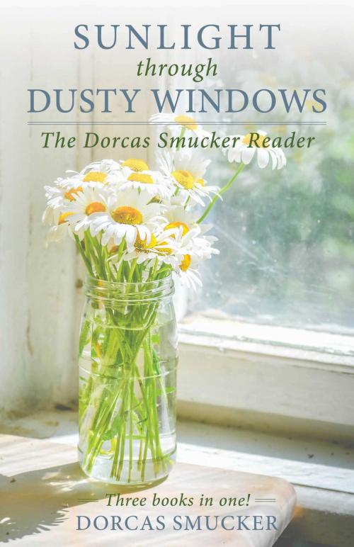 Cover of the book Sunlight Through Dusty Windows by Dorcas Smucker, Good Books