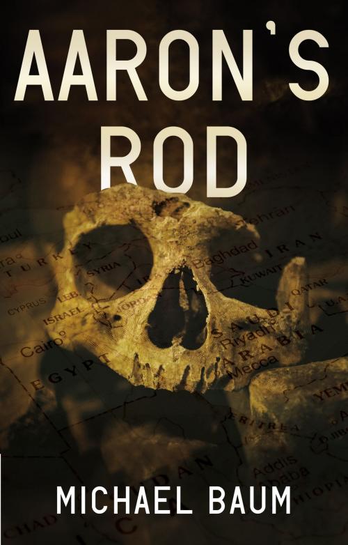 Cover of the book Aaron's Rod by Michael Baum, Troubador Publishing Ltd