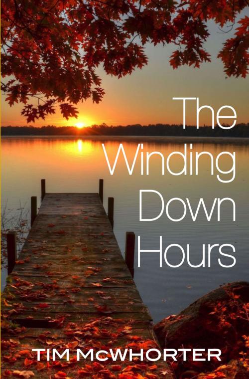 Cover of the book The Winding Down Hours by Tim McWhorter, PlotForge, Ltd