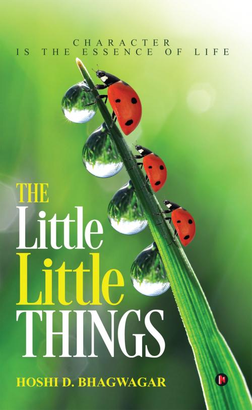 Cover of the book The Little Little Things by HOSHI D. BHAGWAGAR, Notion Press