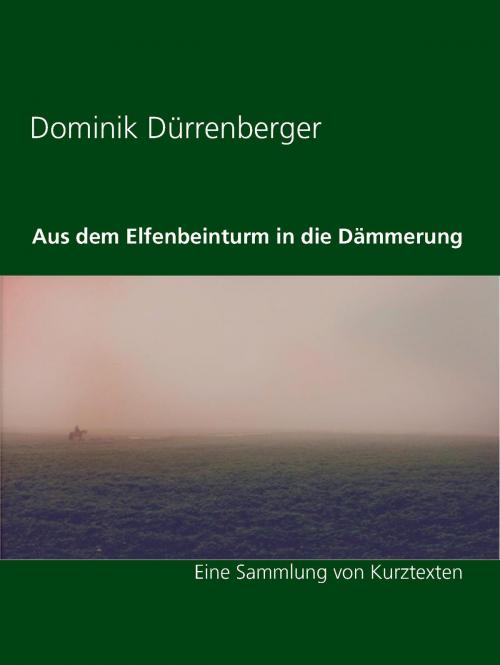 Cover of the book Aus dem Elfenbeinturm in die Dämmerung by Dominik Dürrenberger, BoD E-Short
