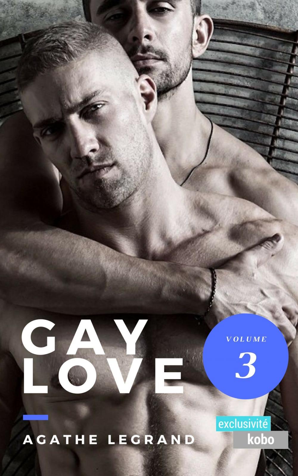 Big bigCover of Gay Love (Vol. 3)