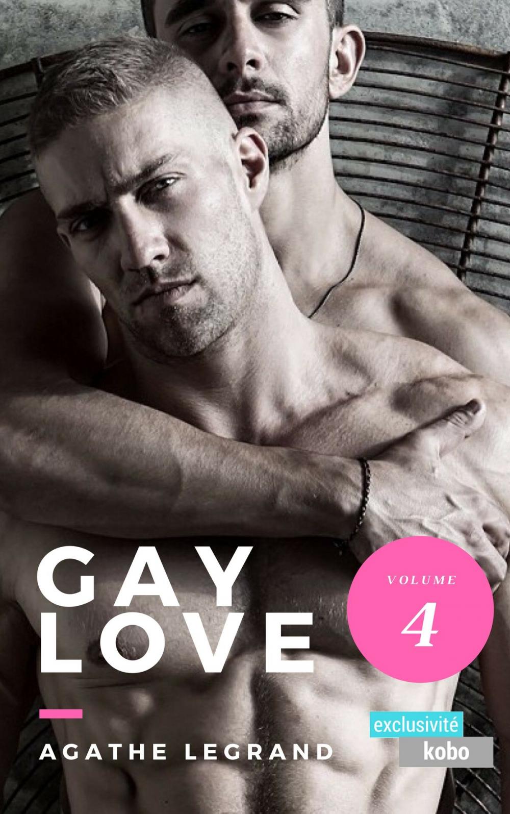 Big bigCover of Gay Love (Vol. 4)