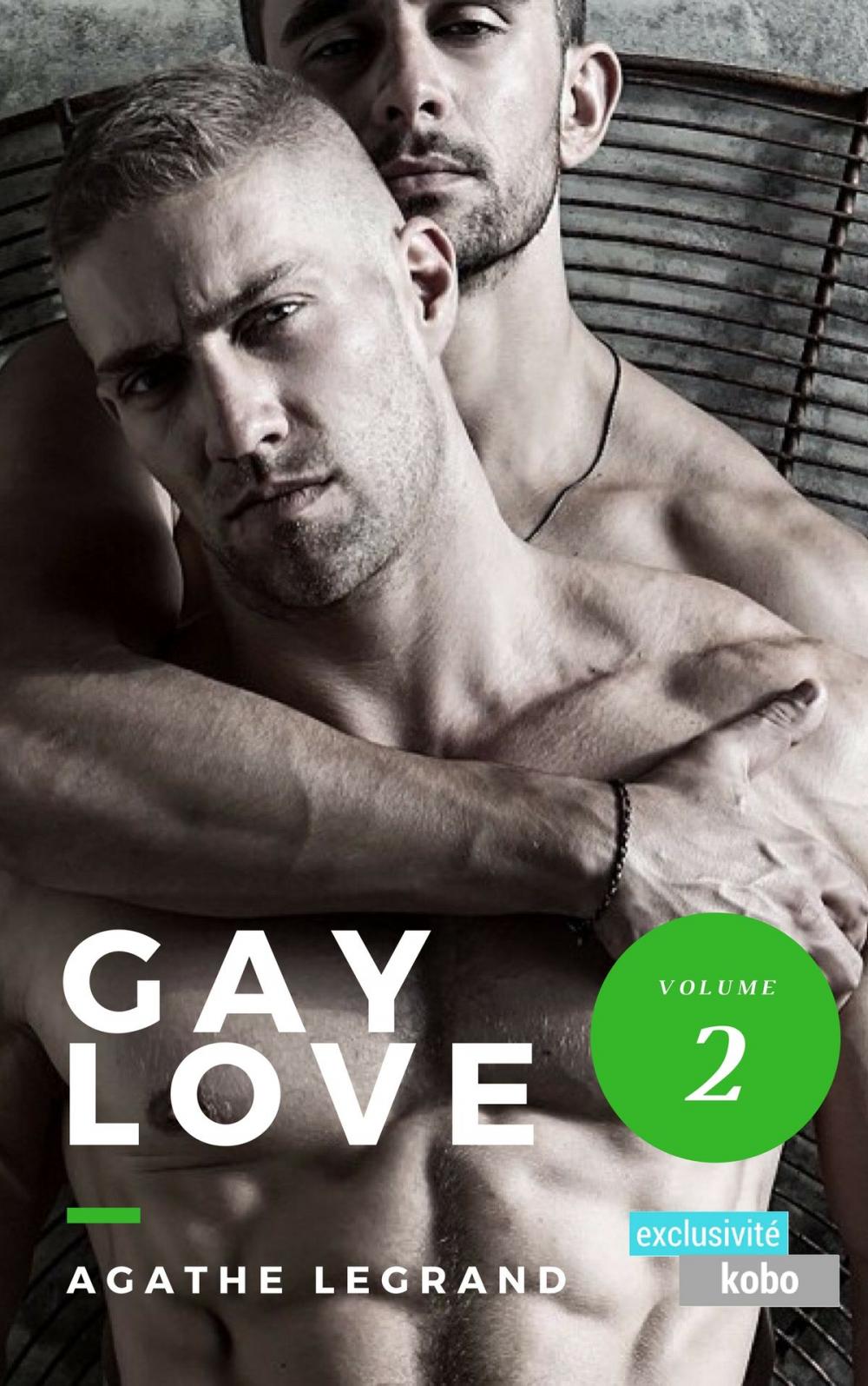 Big bigCover of Gay Love (Vol. 2)