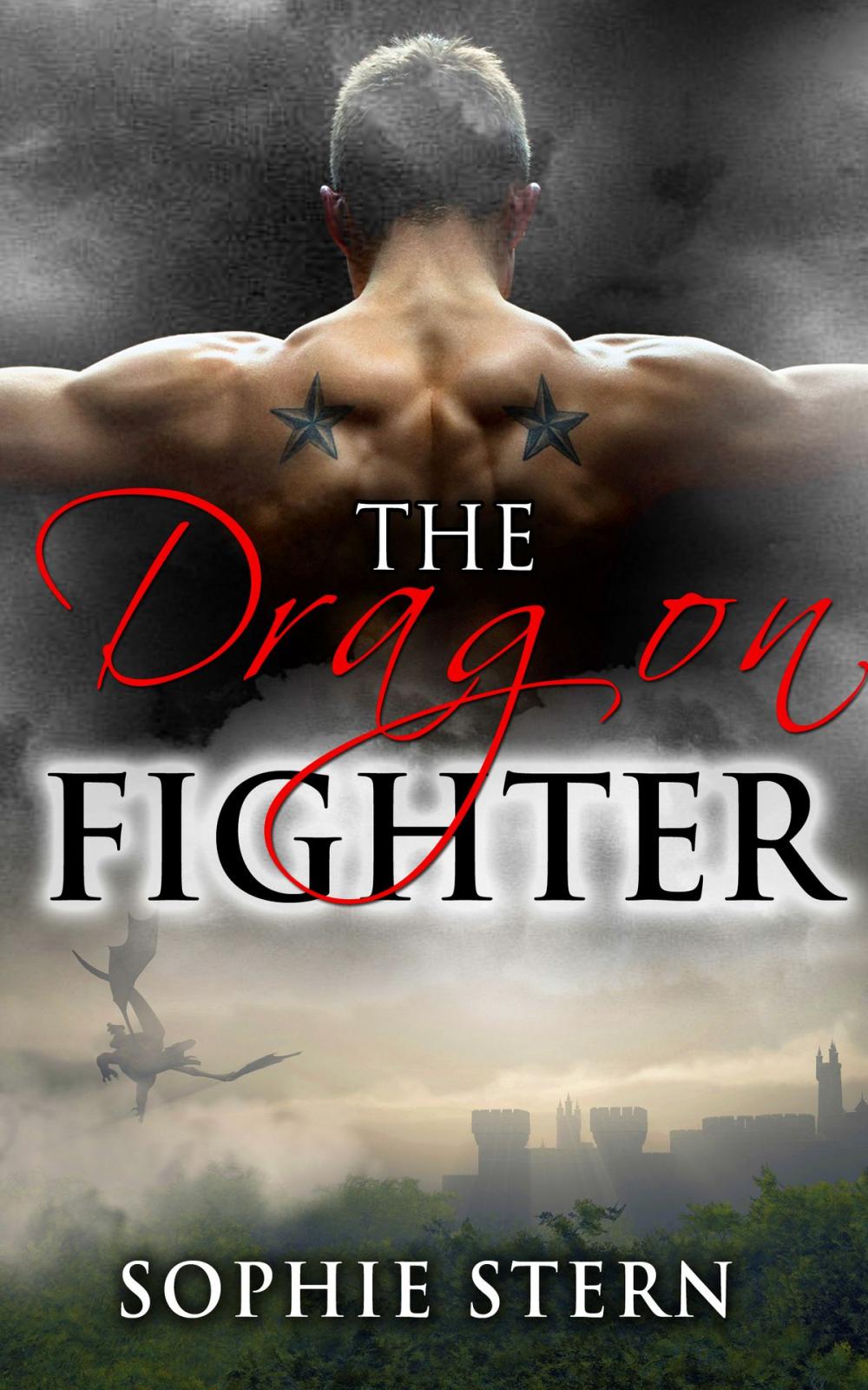 Big bigCover of The Dragon Fighter