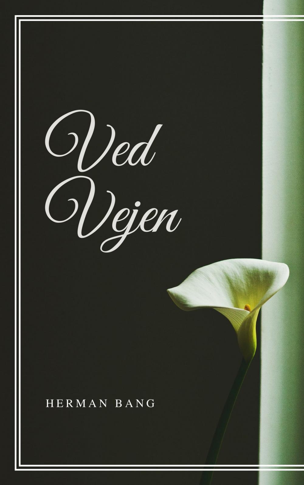 Big bigCover of Ved Vejen