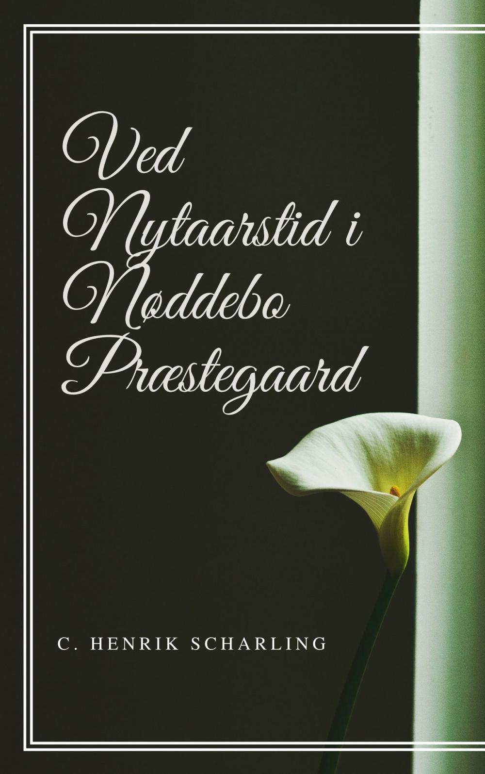 Big bigCover of Ved Nytaarstid i Nøddebo Præstegaard