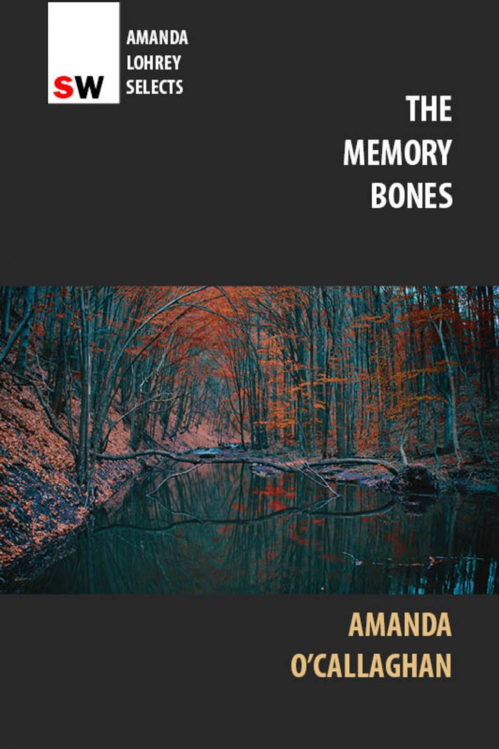 Big bigCover of The Memory Bones