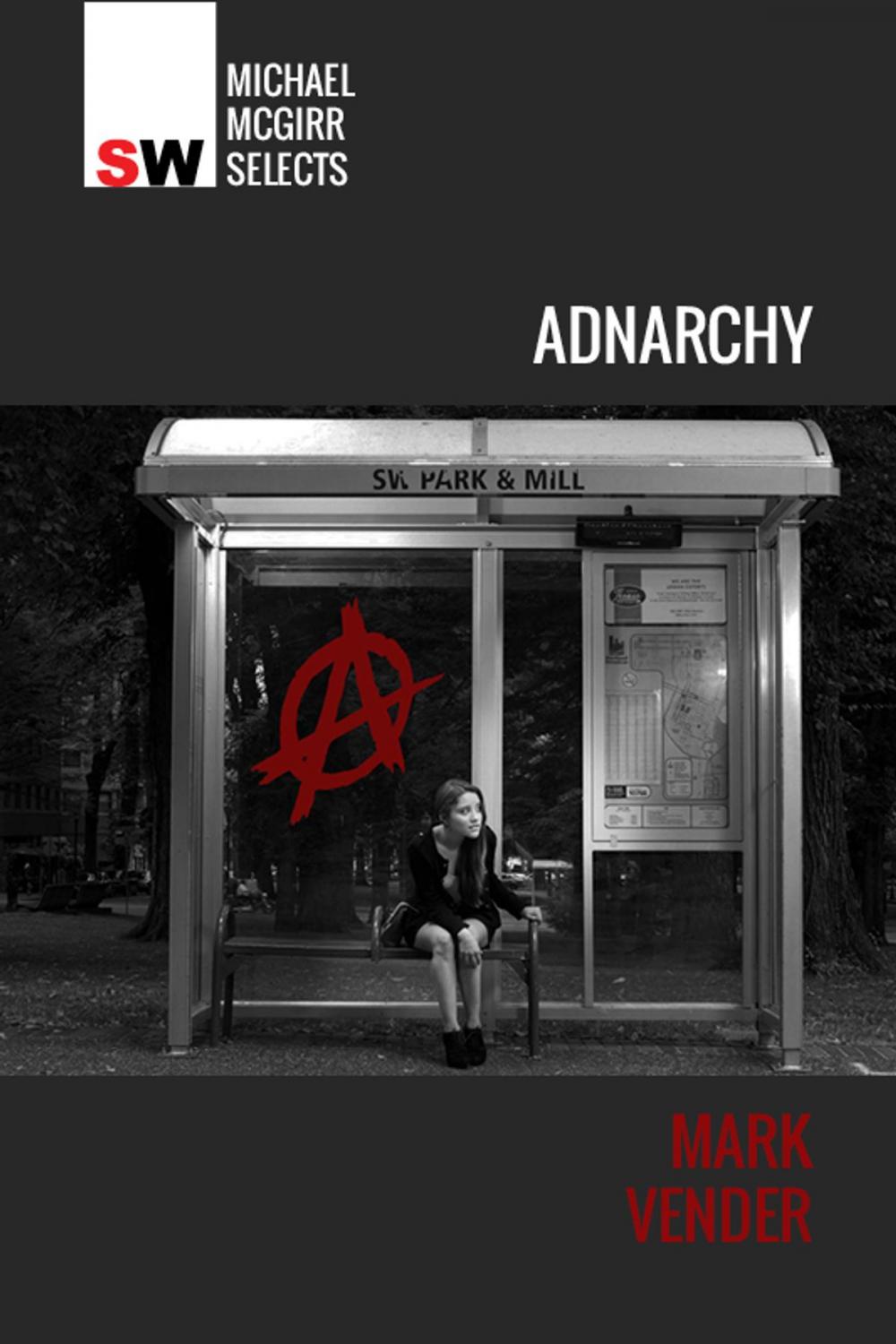 Big bigCover of Adnarchy