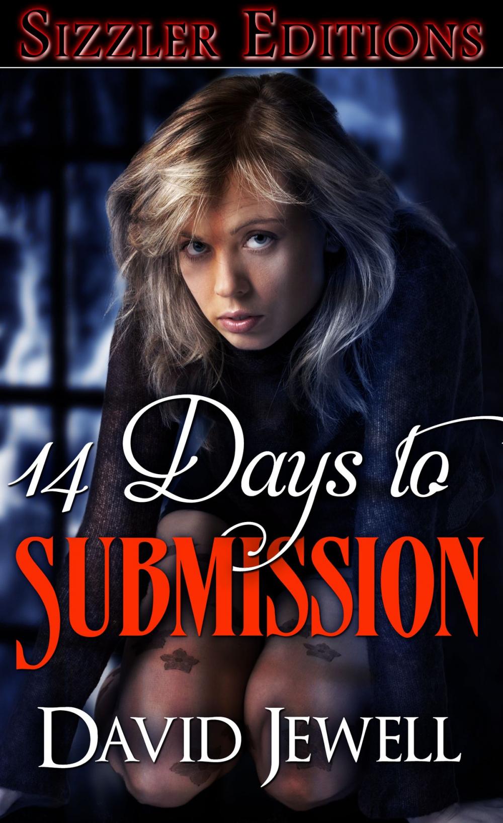 Big bigCover of 14 Days to Submission