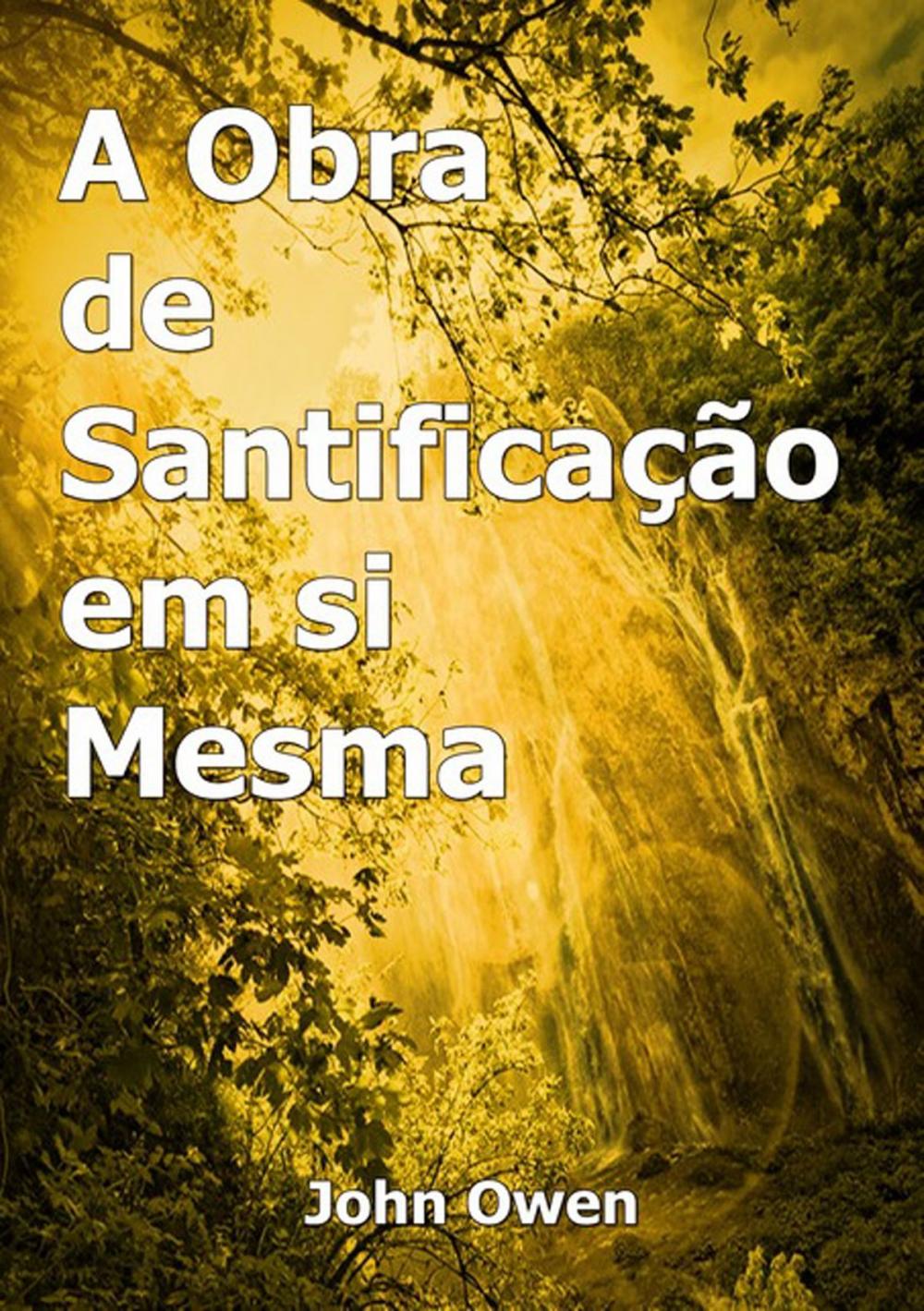 Big bigCover of A Obra De Santificação Em Si Mesma