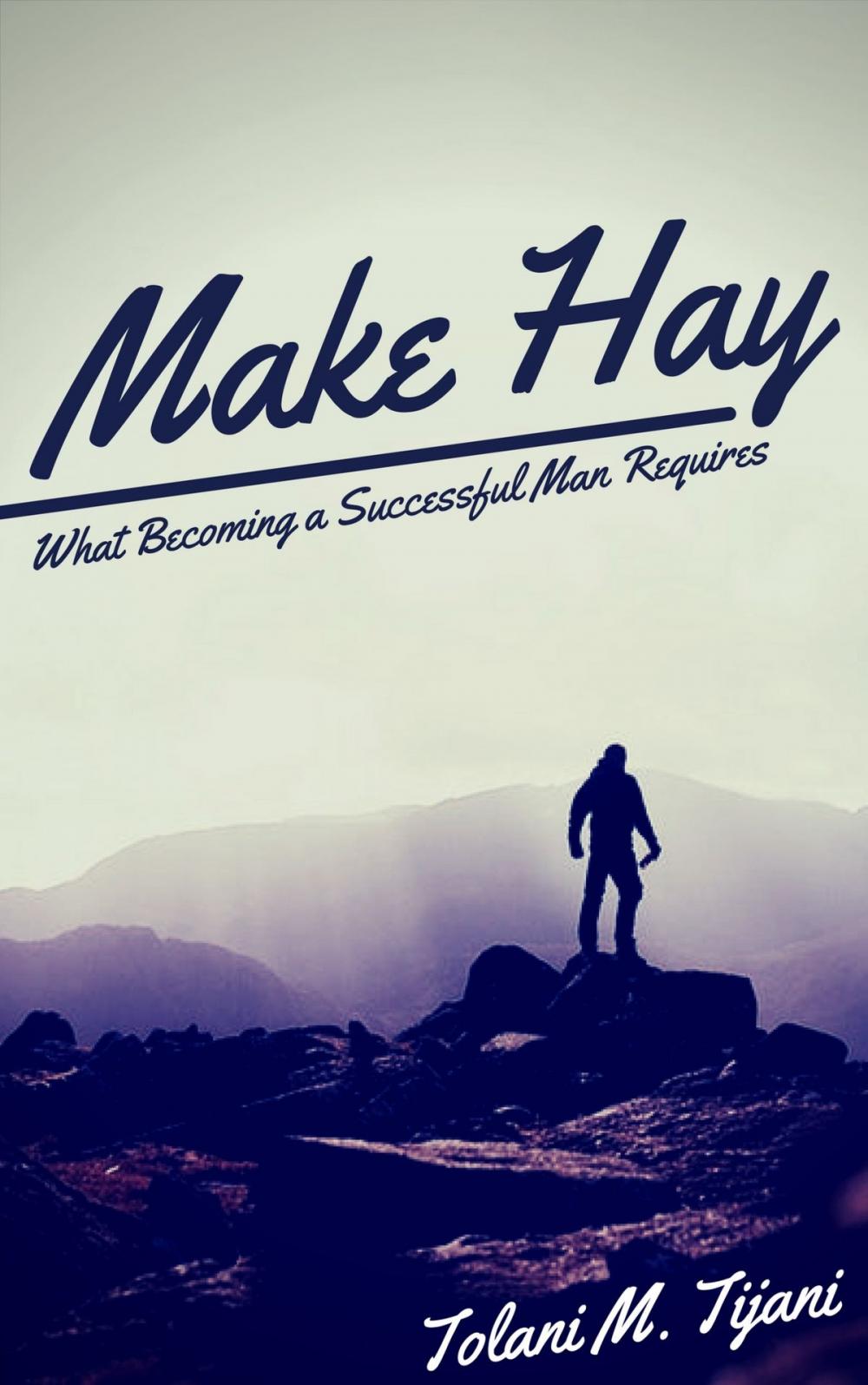 Big bigCover of Make Hay