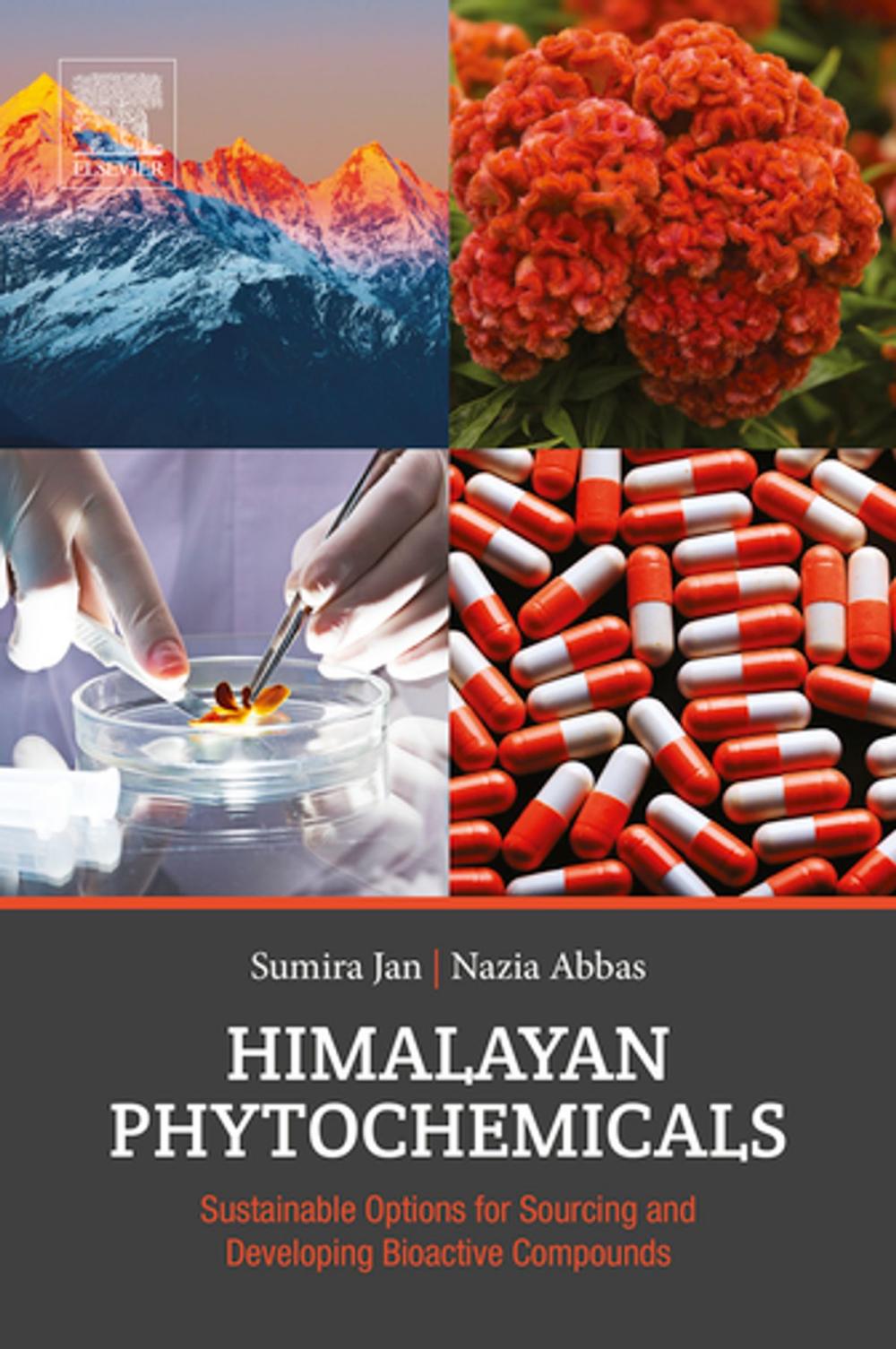 Big bigCover of Himalayan Phytochemicals