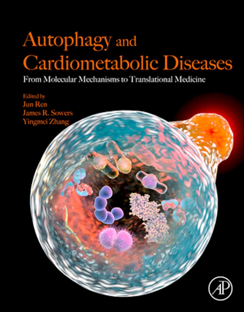 Big bigCover of Autophagy and Cardiometabolic Diseases