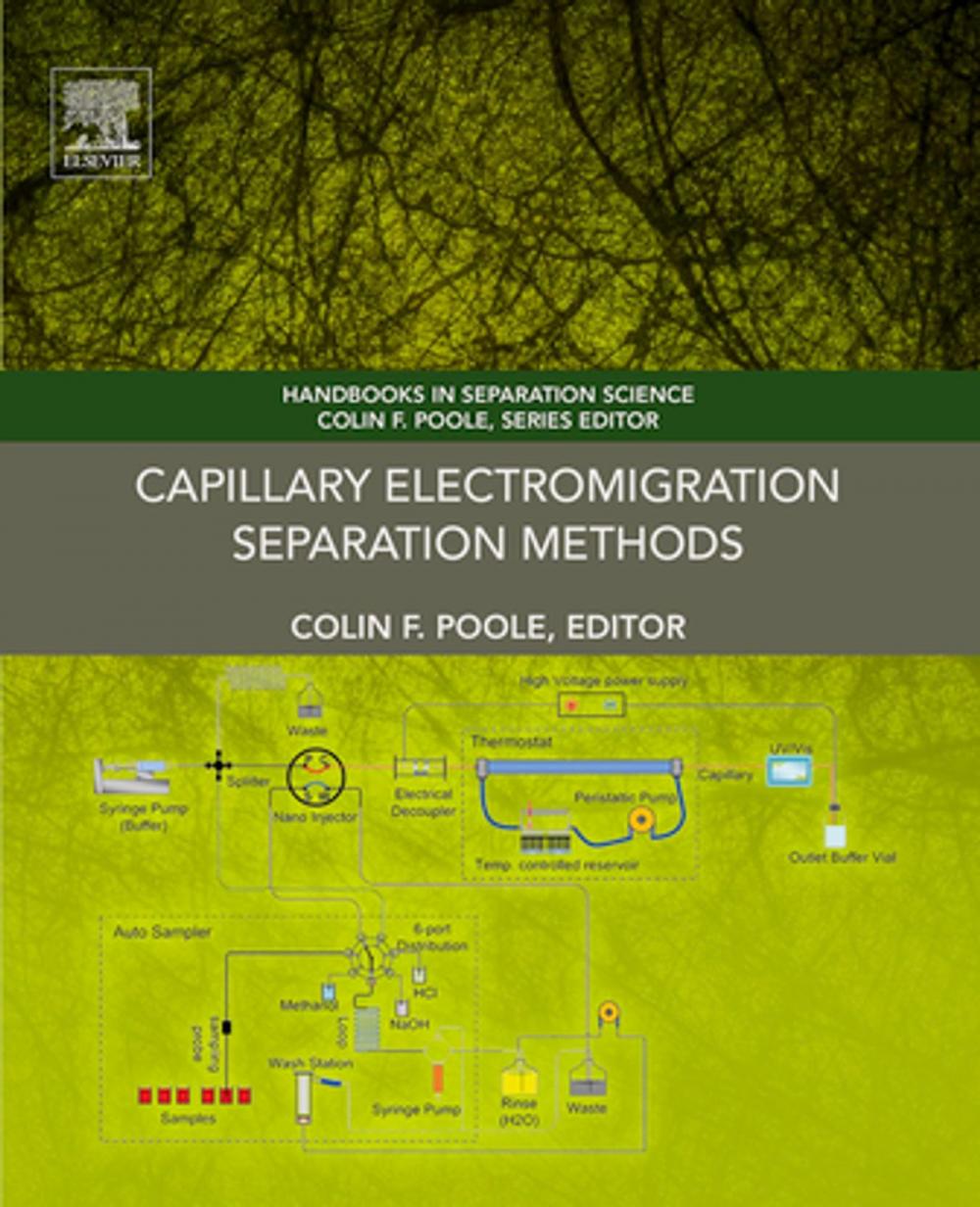 Big bigCover of Capillary Electromigration Separation Methods