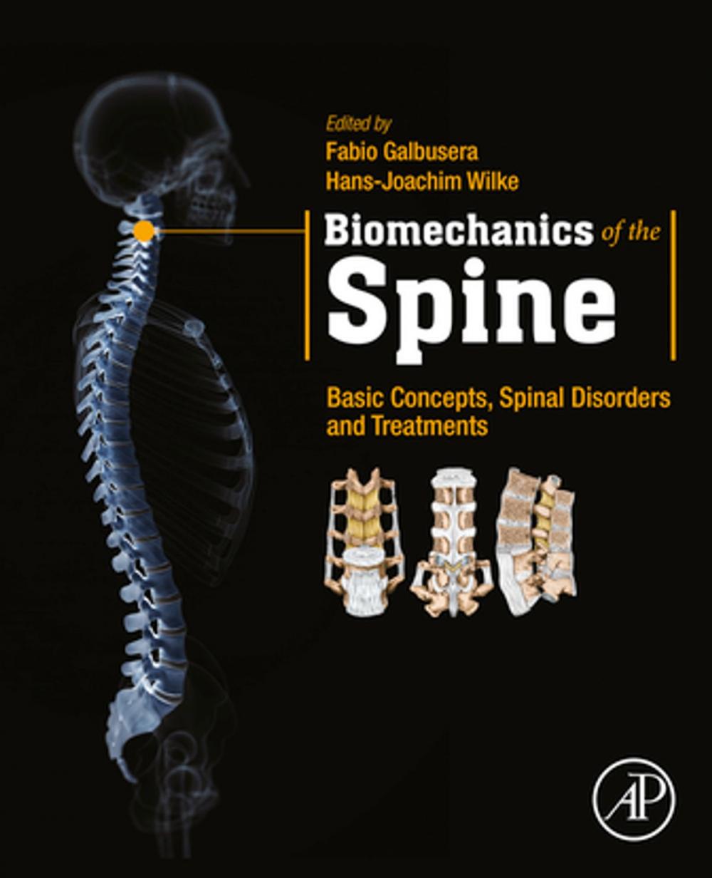 Big bigCover of Biomechanics of the Spine