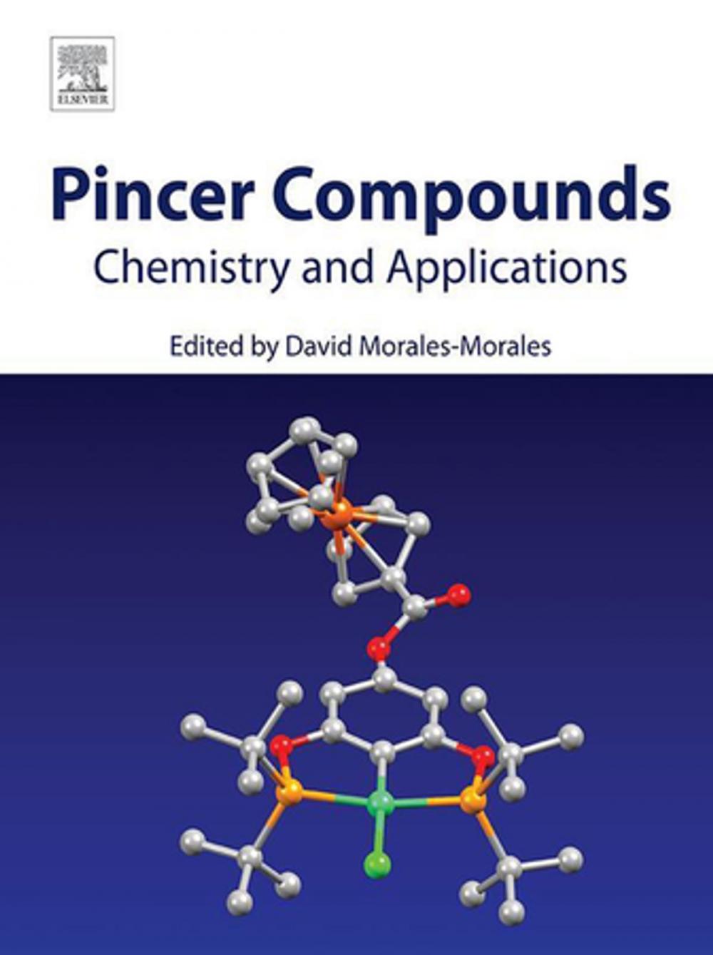 Big bigCover of Pincer Compounds