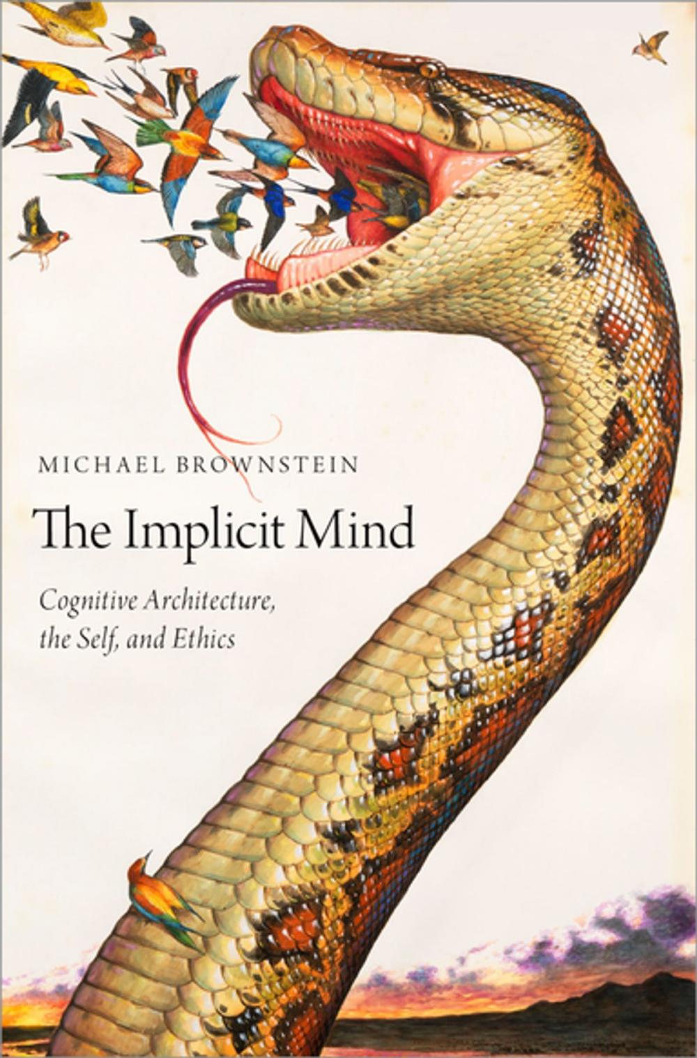 Big bigCover of The Implicit Mind