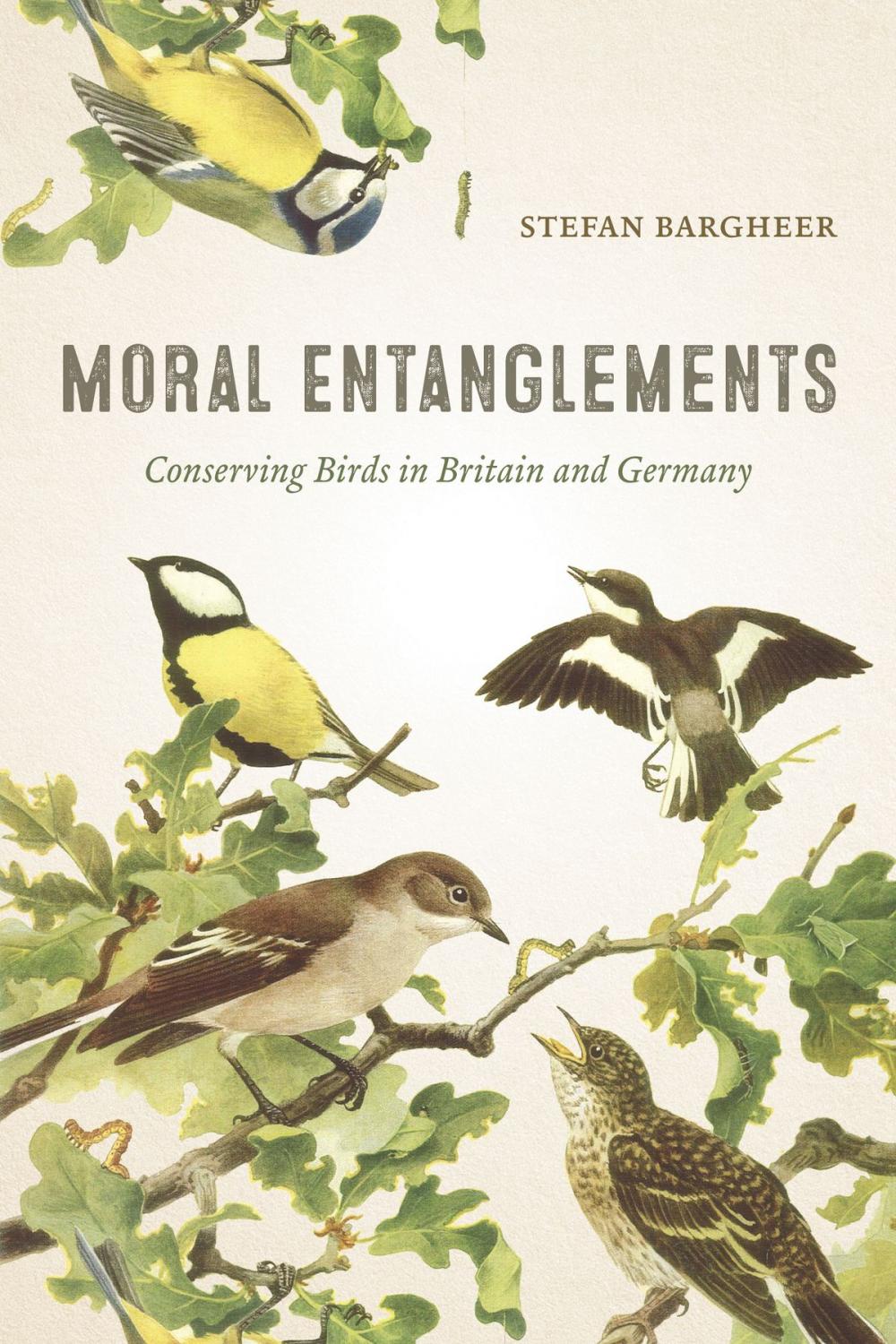 Big bigCover of Moral Entanglements