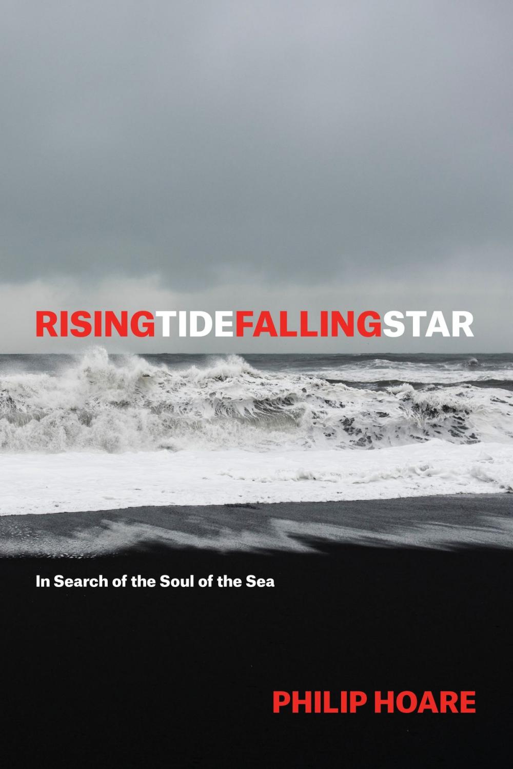 Big bigCover of RISINGTIDEFALLINGSTAR