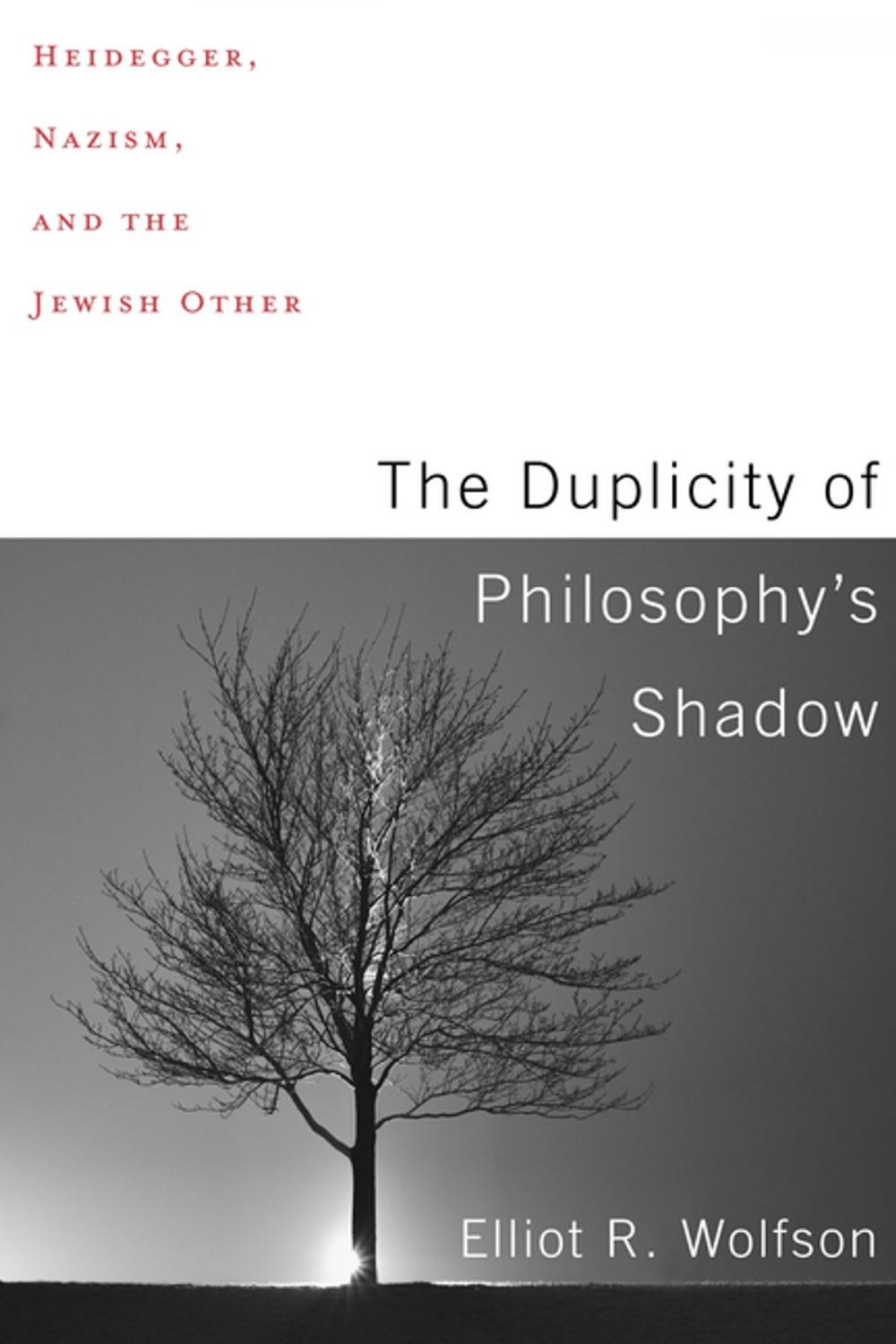 Big bigCover of The Duplicity of Philosophy's Shadow