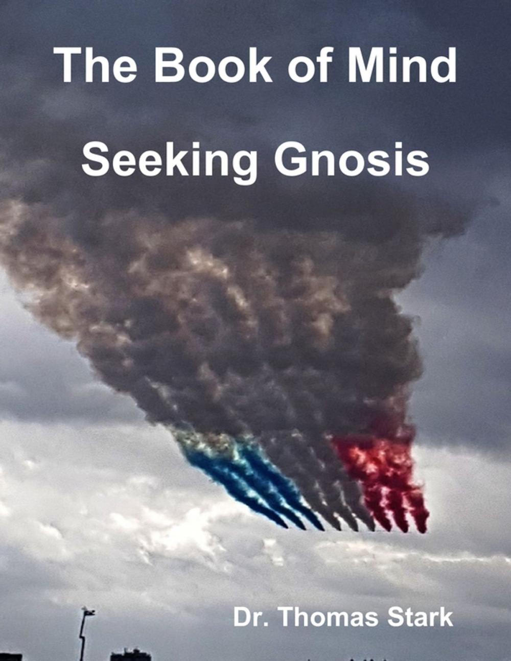 Big bigCover of The Book of Mind: Seeking Gnosis