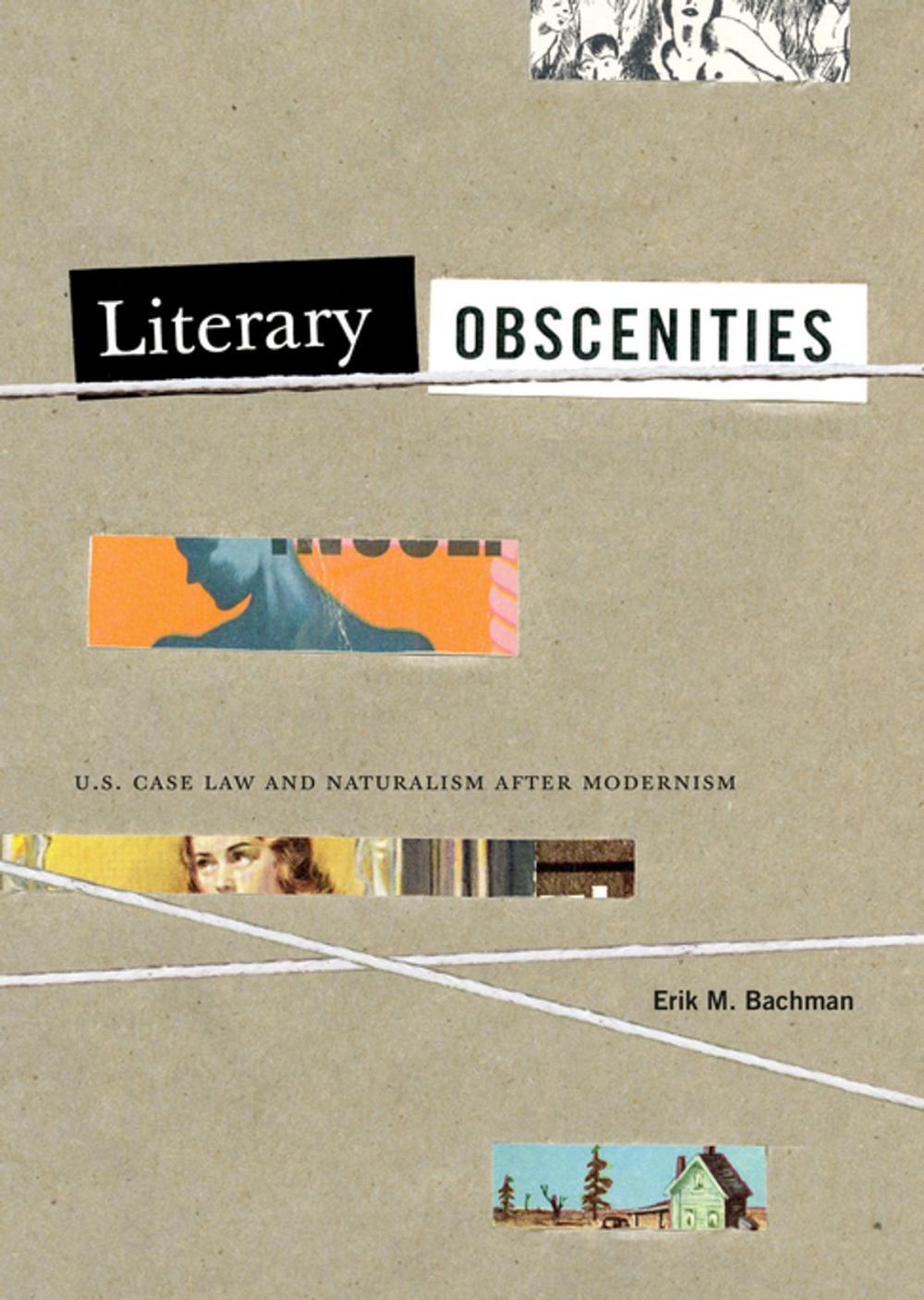 Big bigCover of Literary Obscenities