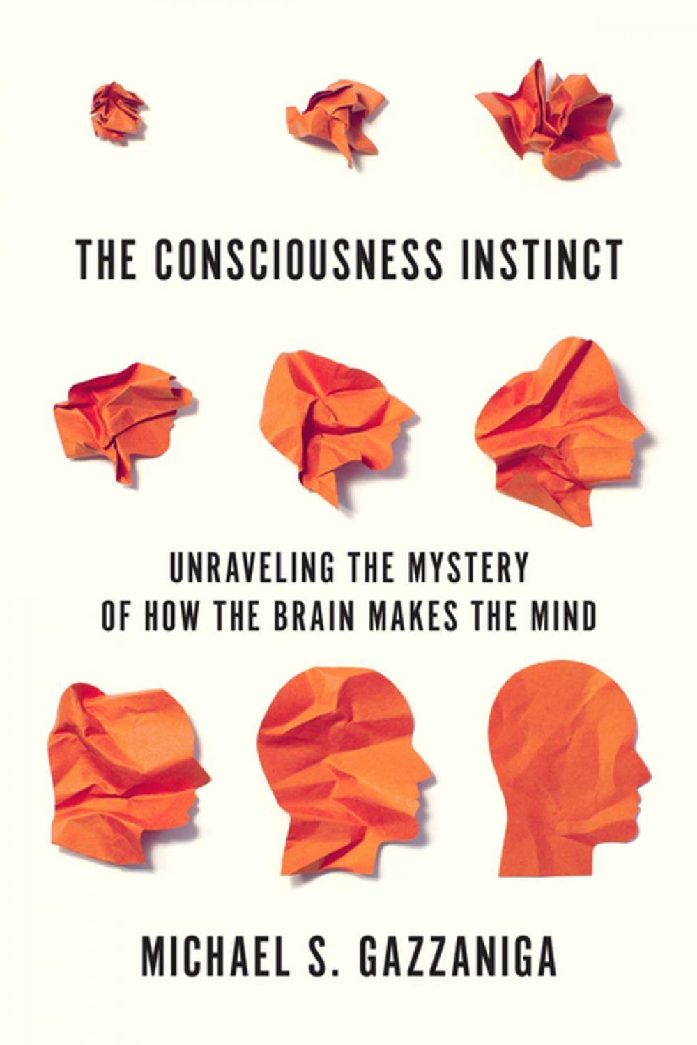 Big bigCover of The Consciousness Instinct