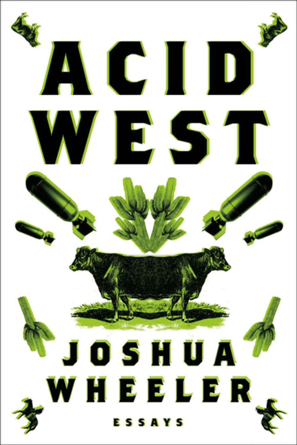 Big bigCover of Acid West