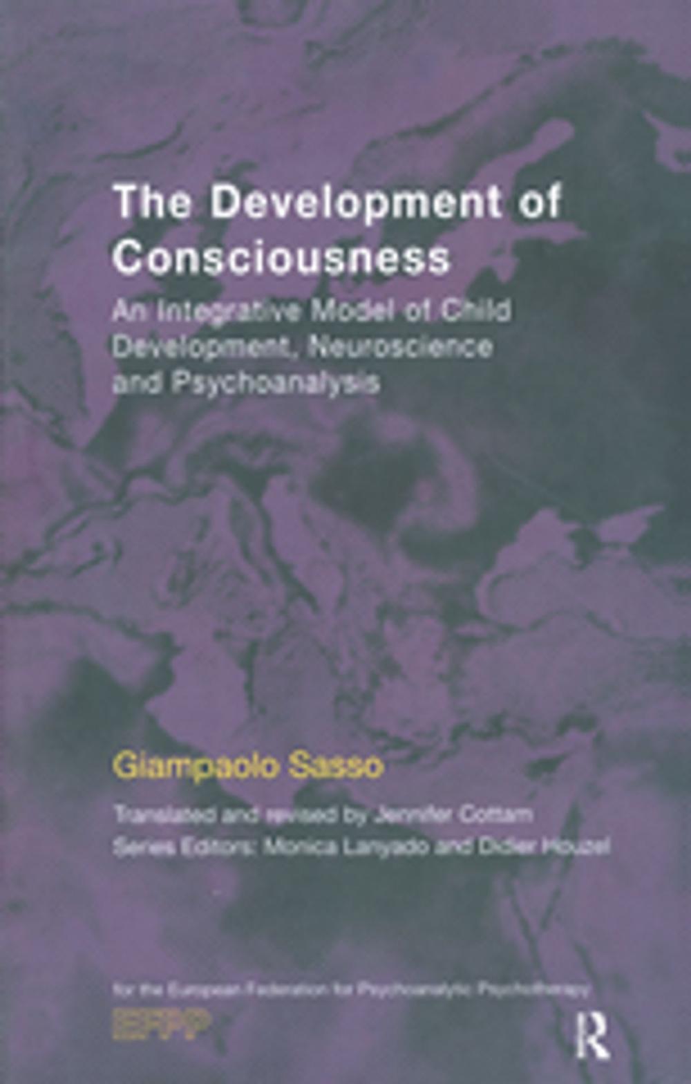 Big bigCover of The Development of Consciousness