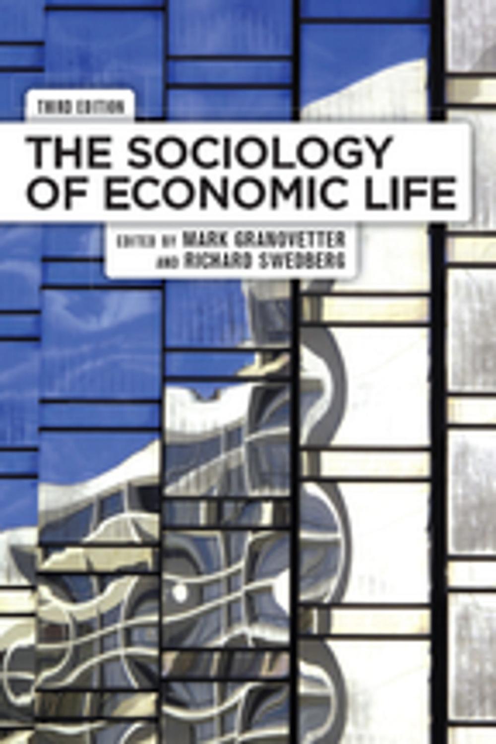 Big bigCover of The Sociology of Economic Life