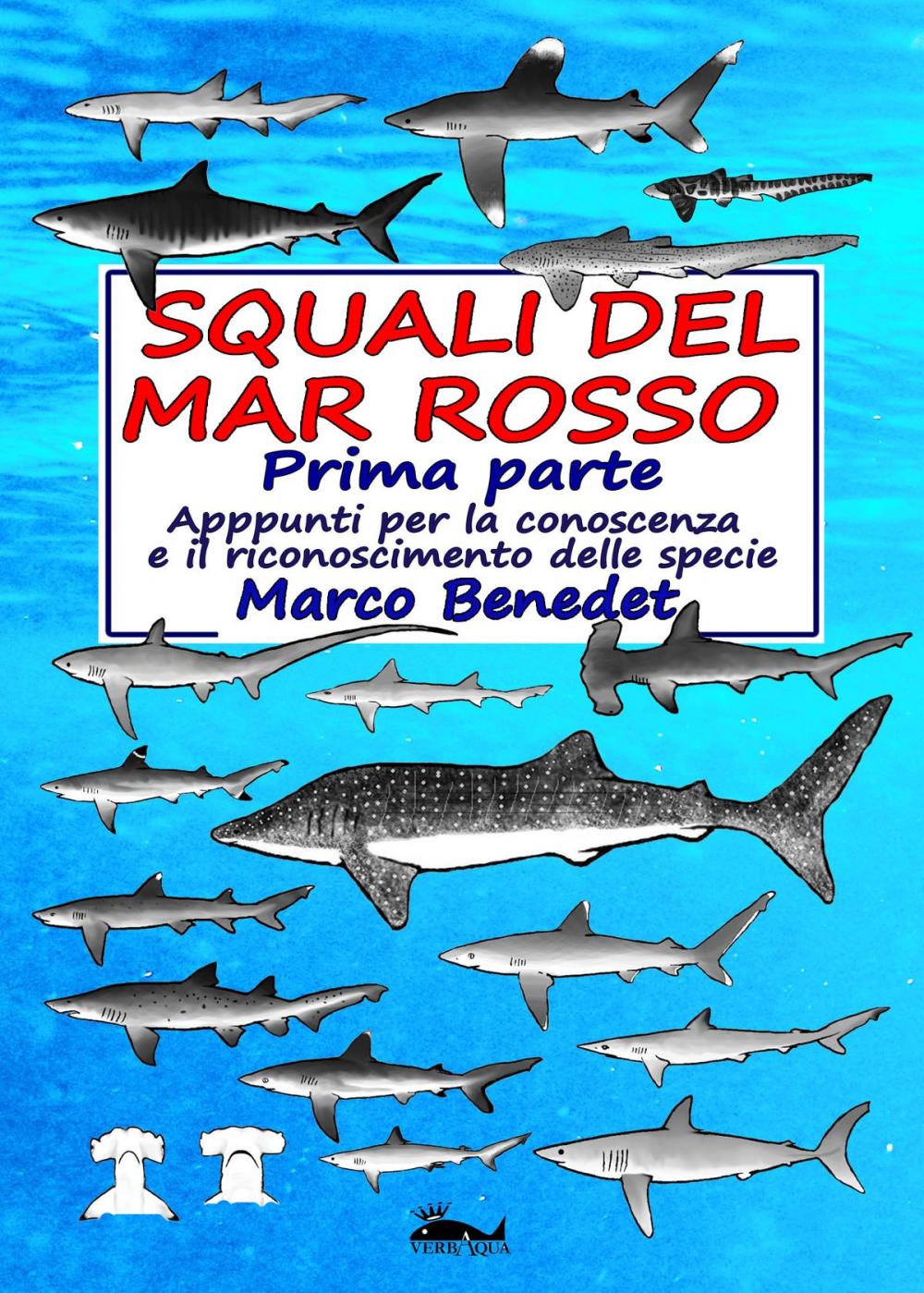 Big bigCover of Squali del Mar Rosso: 1a parte