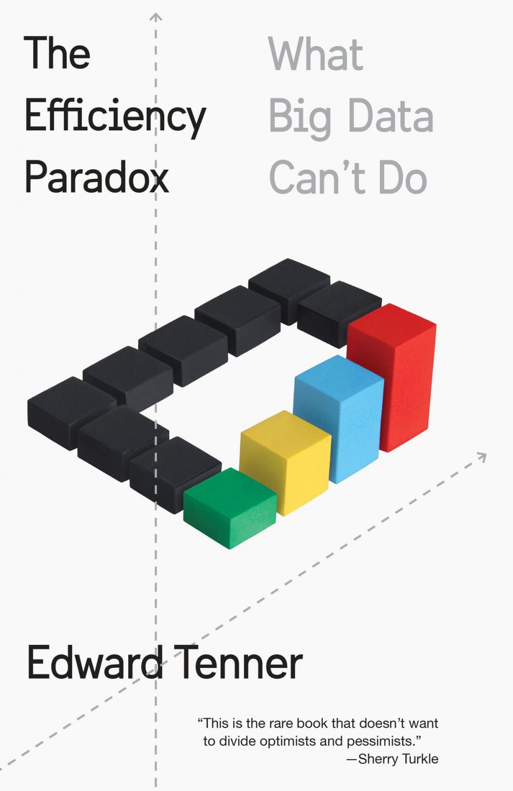 Big bigCover of The Efficiency Paradox