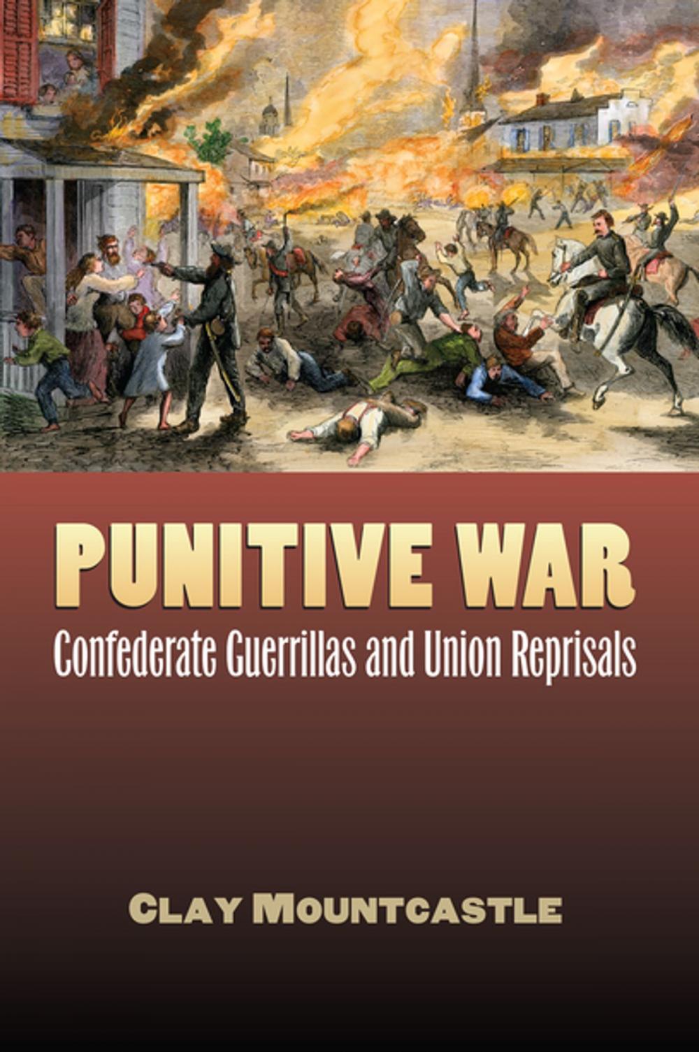 Big bigCover of Punitive War