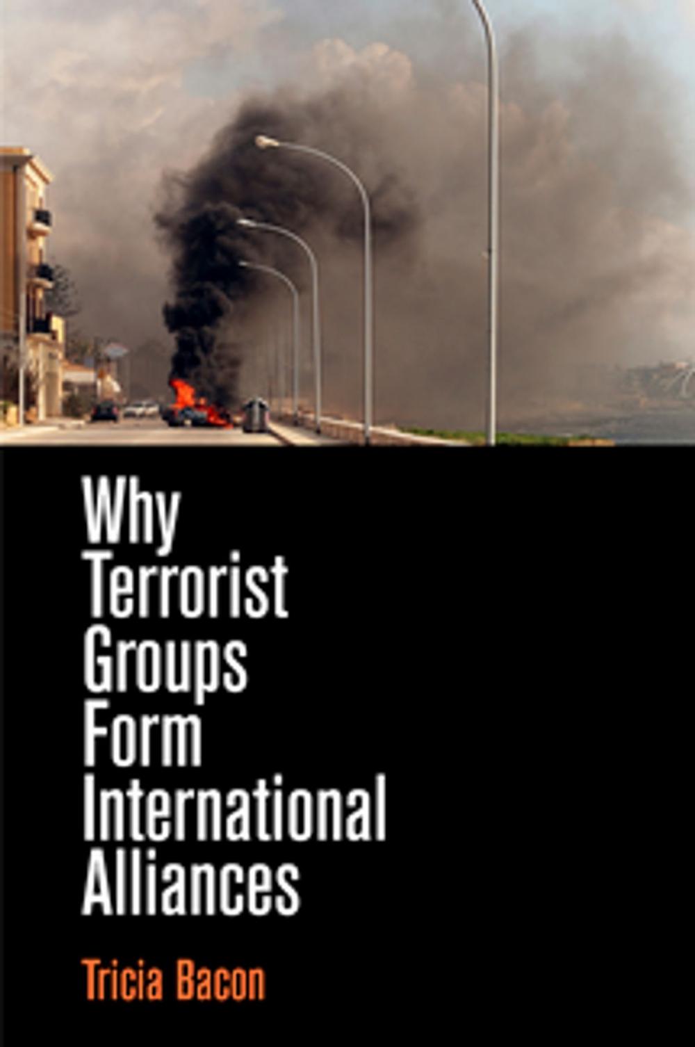 Big bigCover of Why Terrorist Groups Form International Alliances