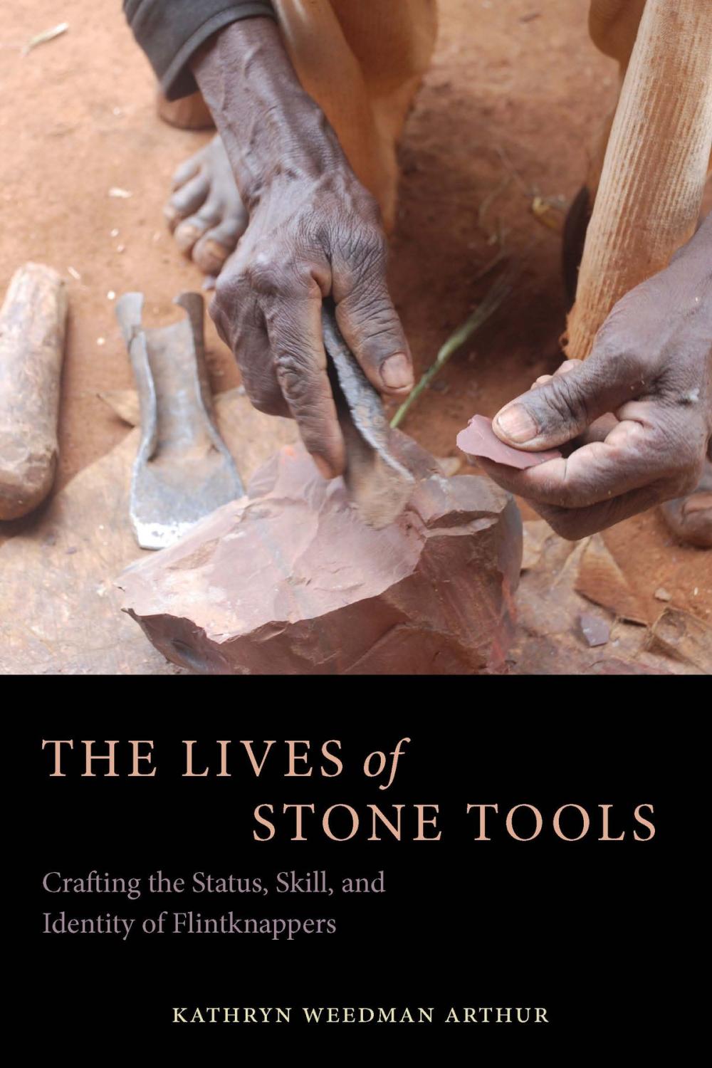 Big bigCover of The Lives of Stone Tools