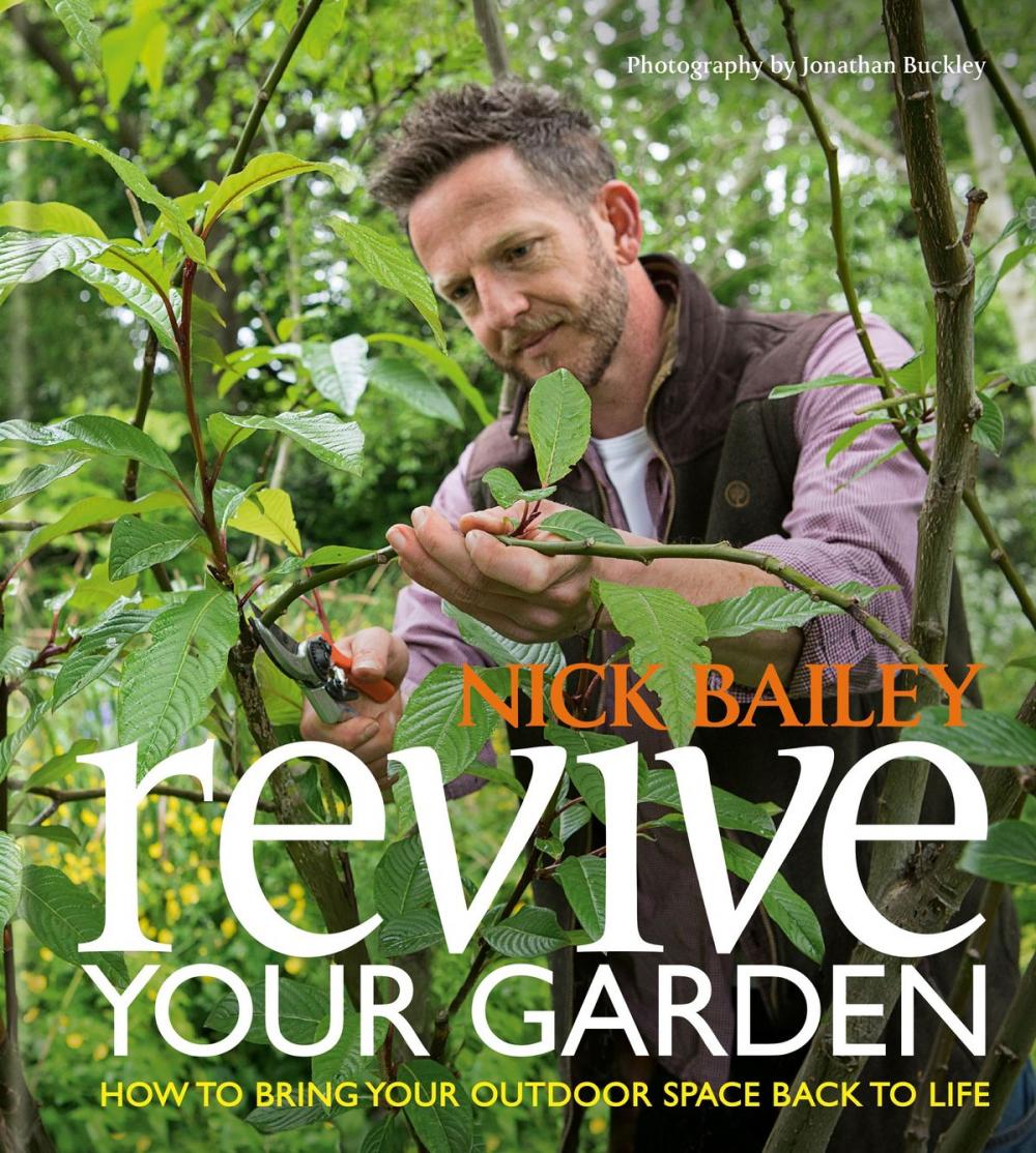 Big bigCover of Revive your Garden