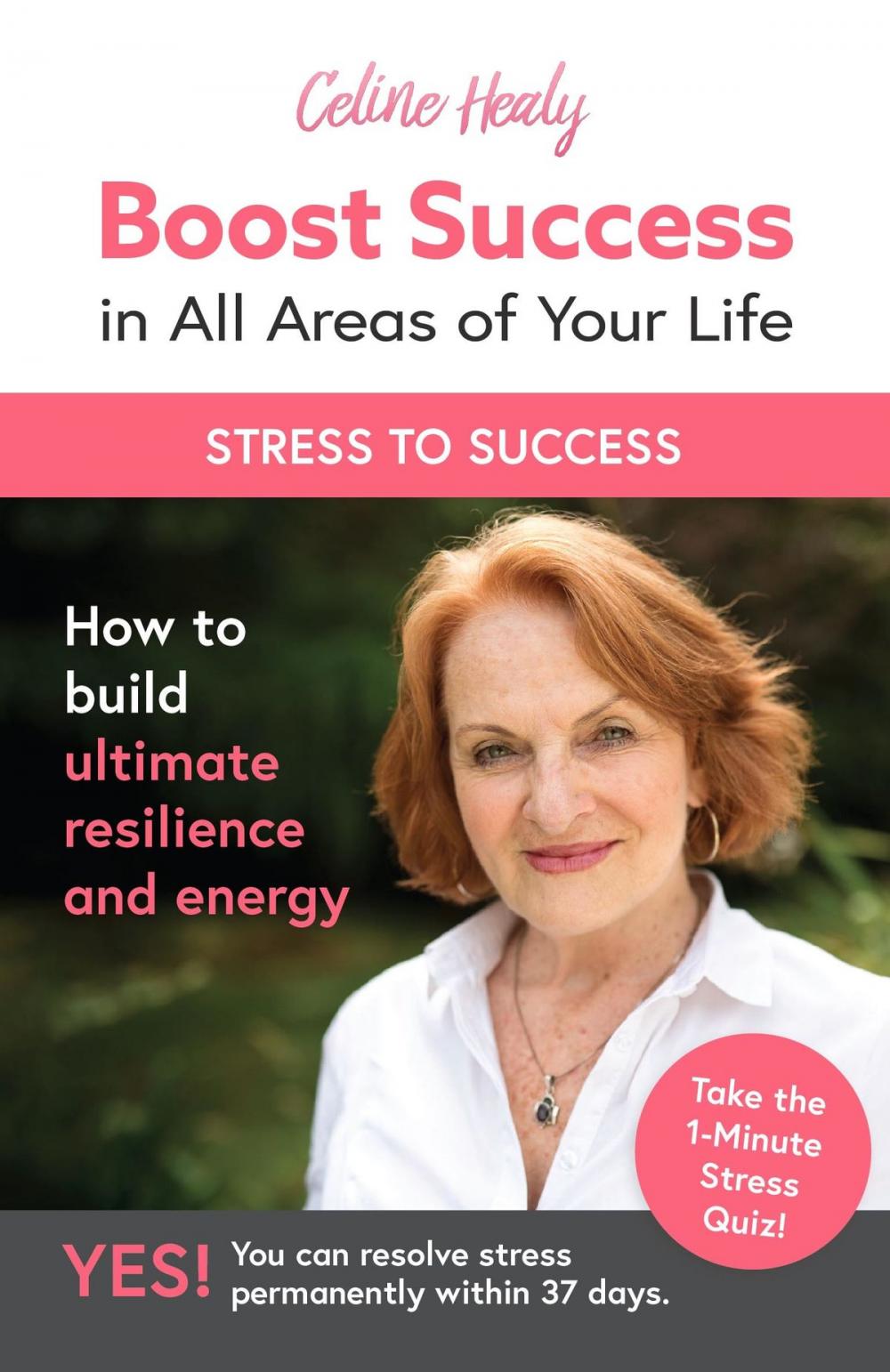 Big bigCover of Boost Success in All Areas of Your Life: How to Build Ultimate Resilience and Energy