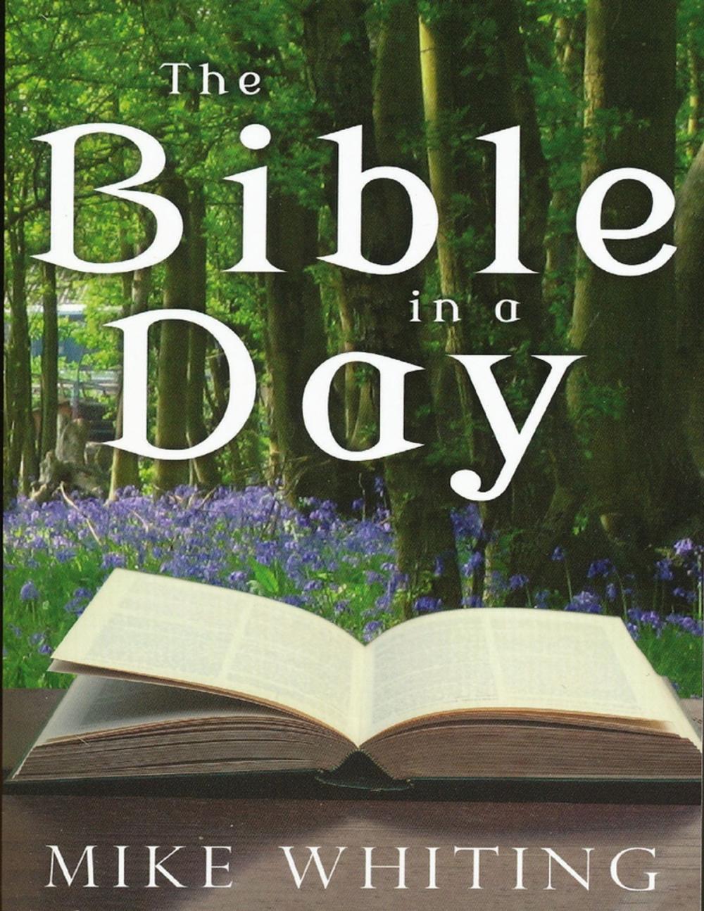 Big bigCover of The Bible In a Day