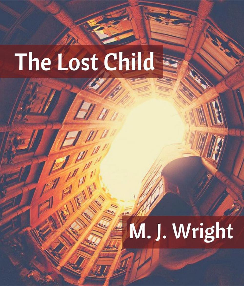 Big bigCover of The Lost Child