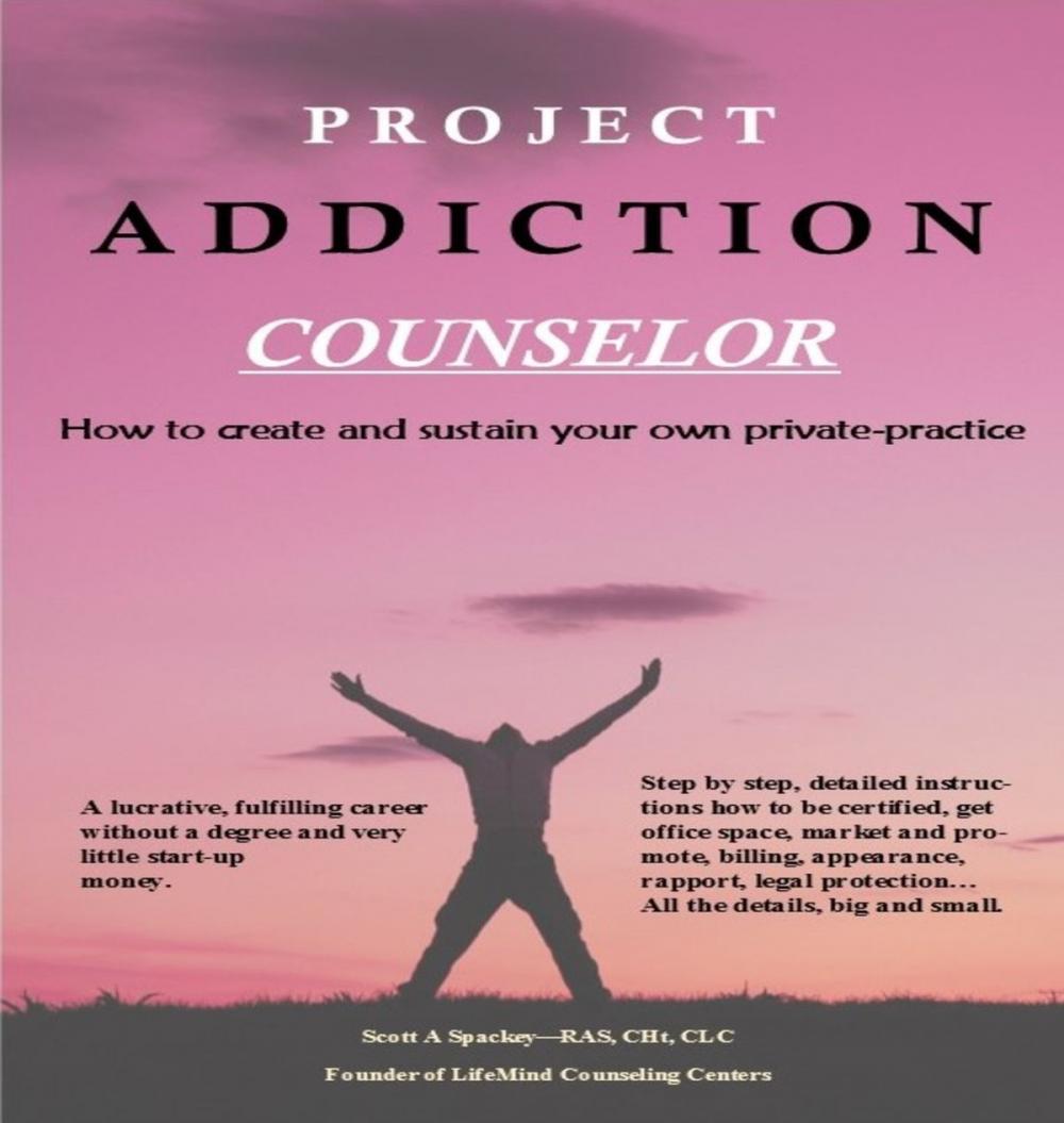 Big bigCover of Project Addiction Counselor, How to Create and Sustain A Private Practice