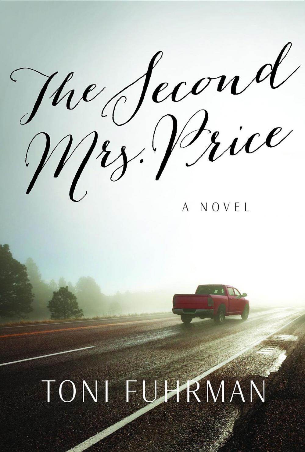 Big bigCover of The Second Mrs. Price