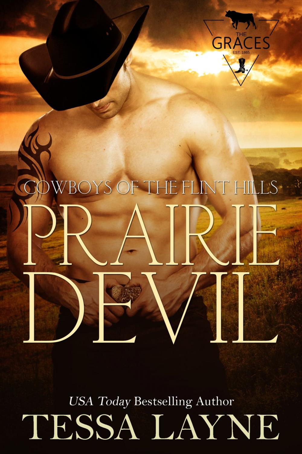 Big bigCover of Prairie Devil