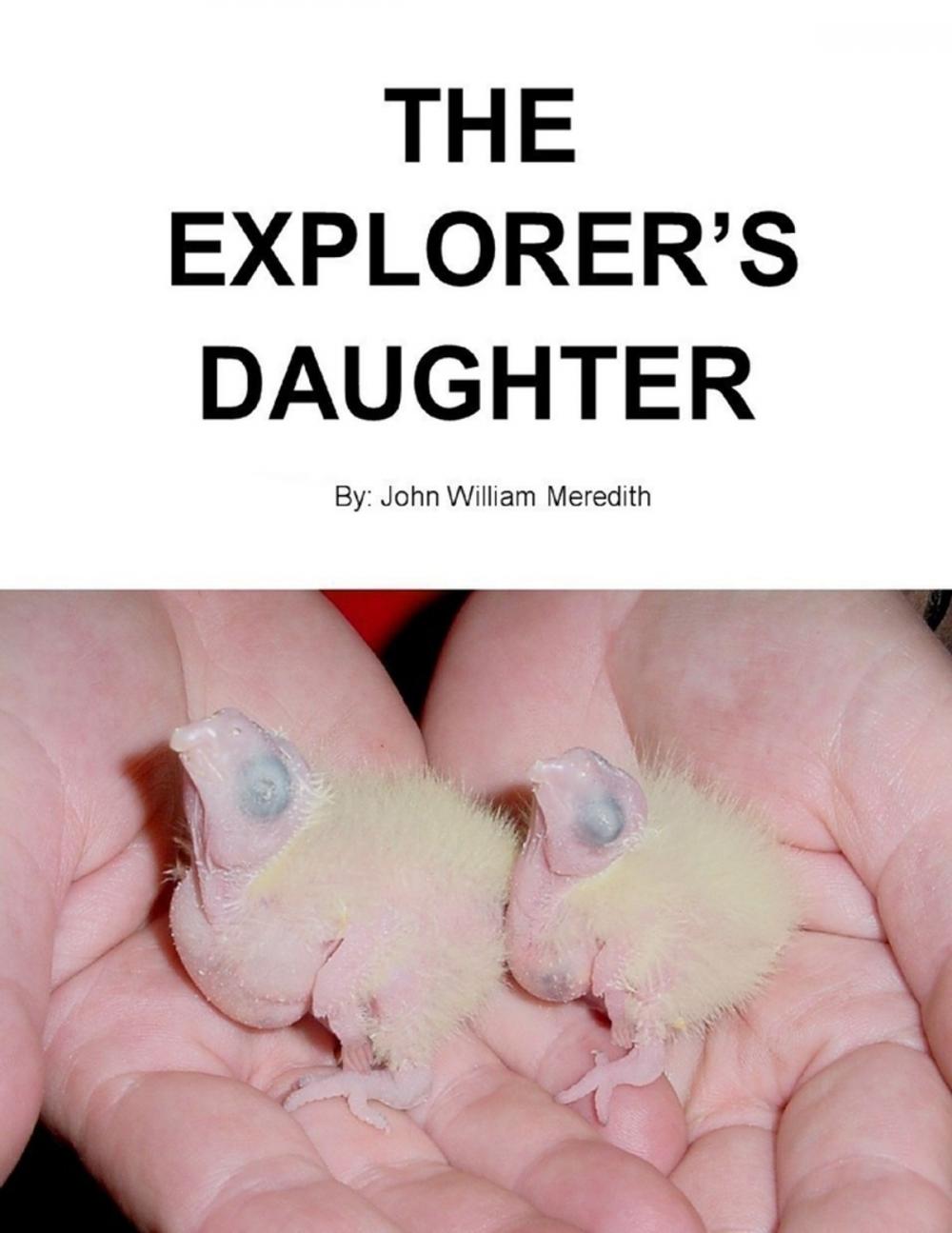 Big bigCover of The Explorer's Daughter