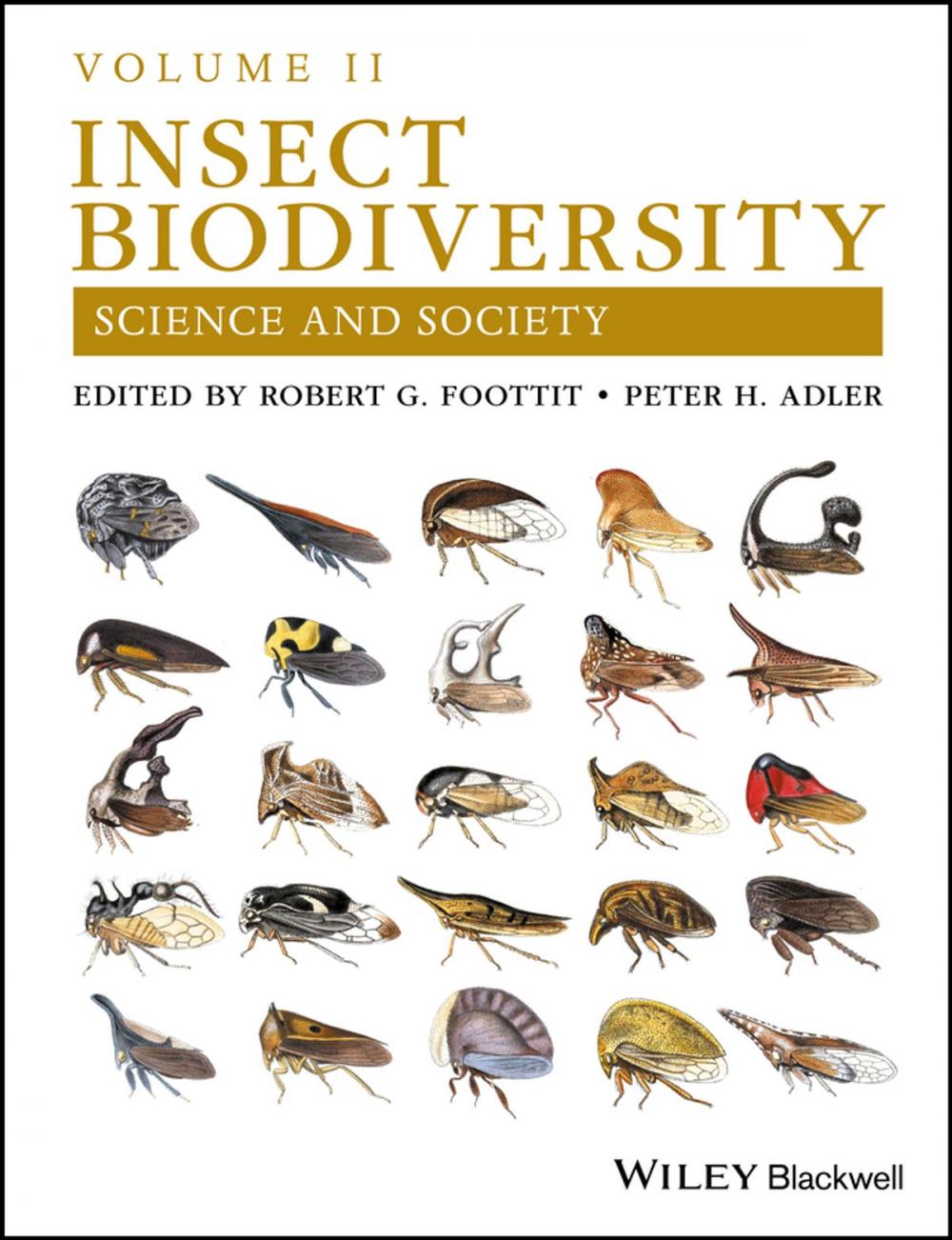 Big bigCover of Insect Biodiversity