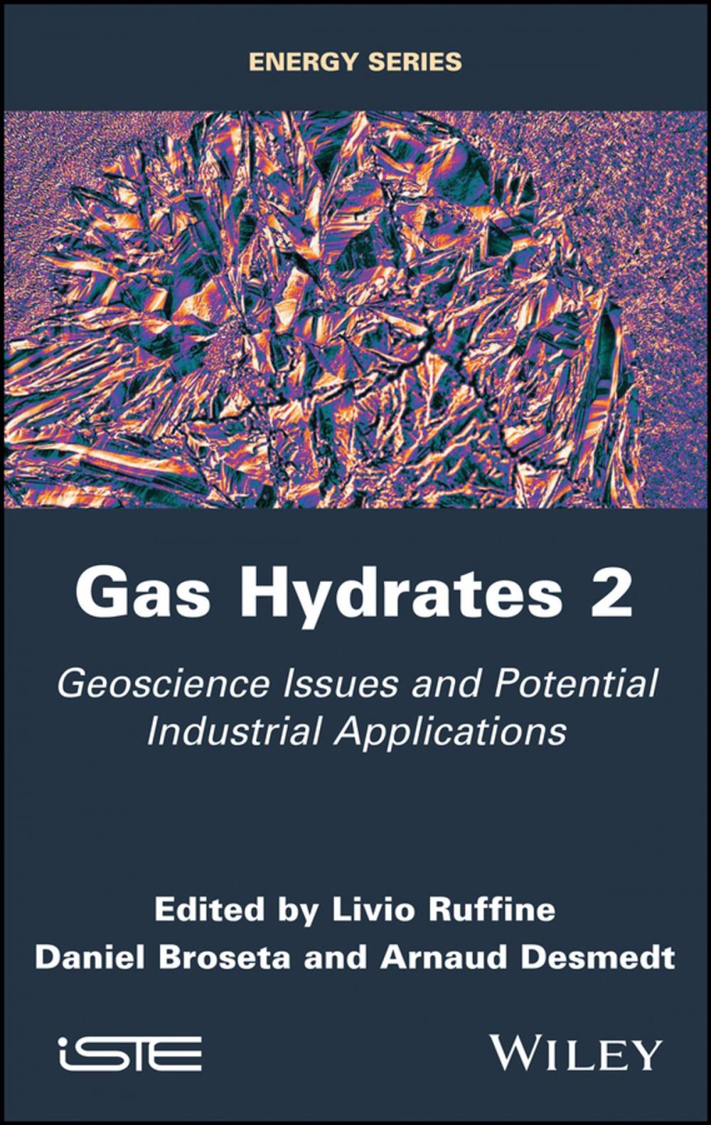 Big bigCover of Gas Hydrates 2