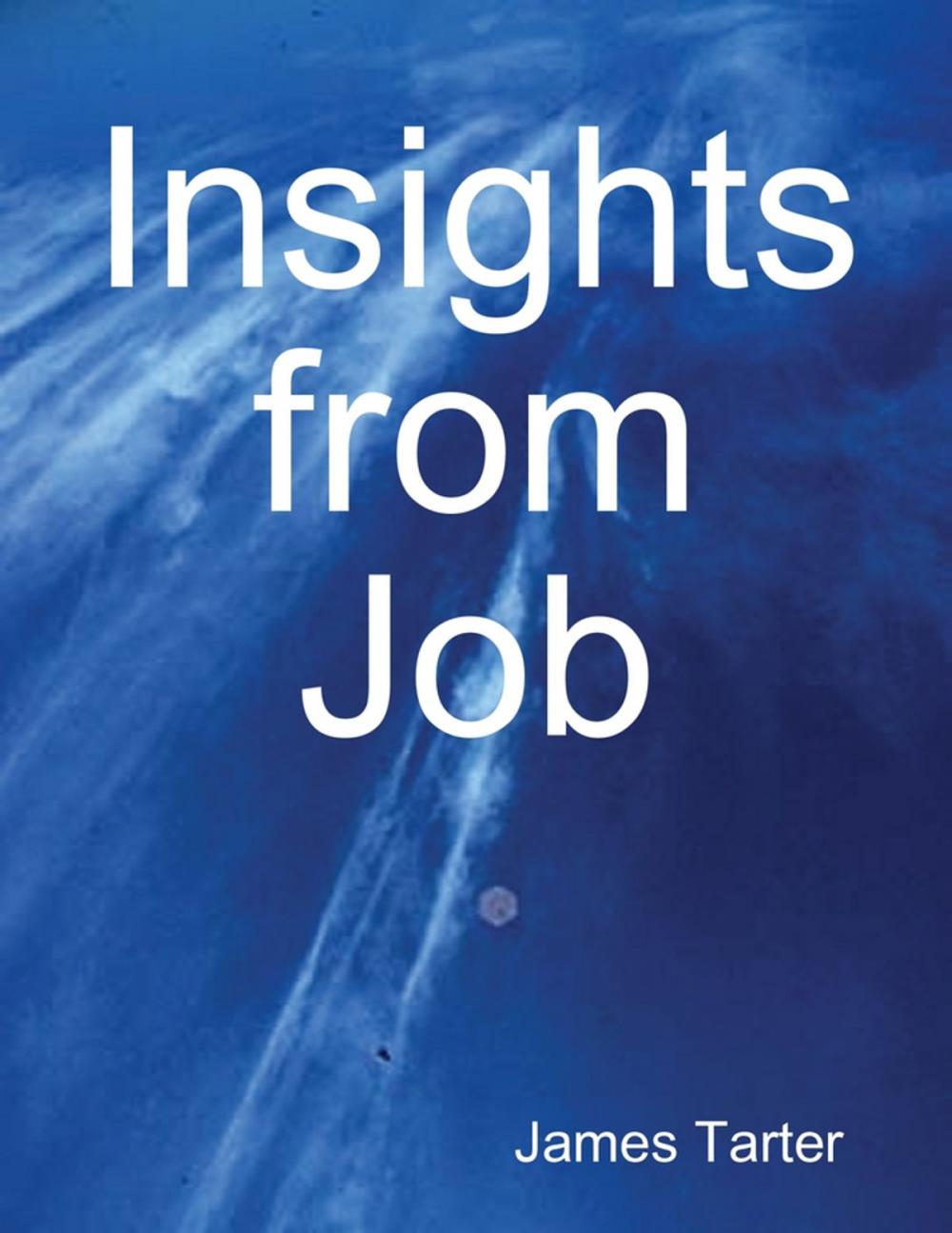 Big bigCover of Insights from Job