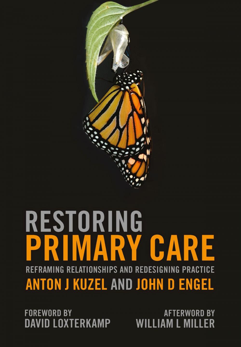 Big bigCover of Restoring Primary Care